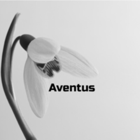 Aventus Logo (IGE, 10.11.2020)