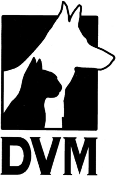 DVM Logo (IGE, 11/03/1998)