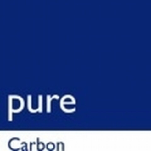 pure Carbon Logo (IGE, 19.12.2009)