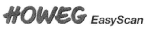 HOWEG EasyScan Logo (IGE, 13.01.2005)