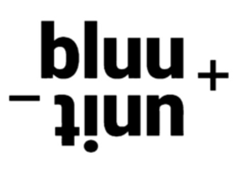 bluu unit Logo (IGE, 20.03.2024)