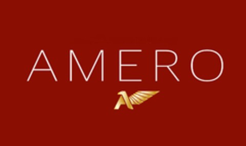 AMERO Logo (IGE, 15.03.2018)