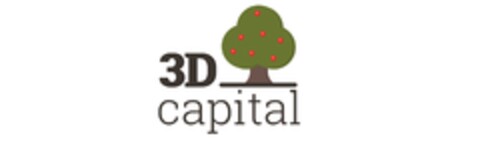 3D capital Logo (IGE, 18.04.2019)