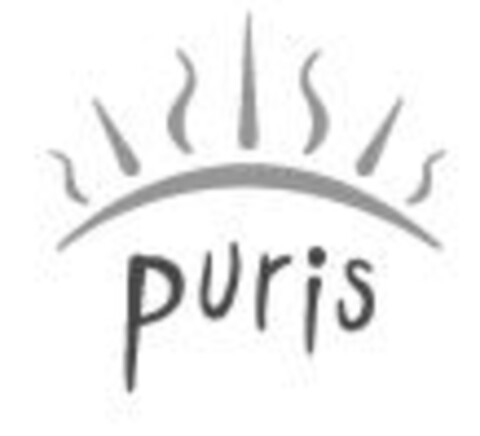 Puris Logo (IGE, 07.05.2004)