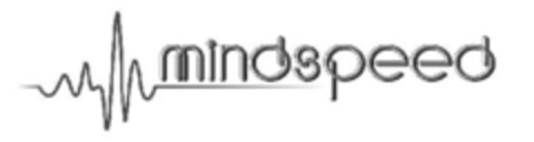 mindspeed Logo (IGE, 15.12.2004)