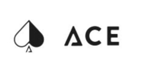 ACE Logo (IGE, 07.10.2020)