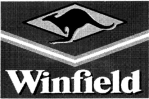 Winfield Logo (IGE, 26.01.1998)