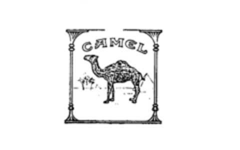 Camel Logo (IGE, 12.06.1978)