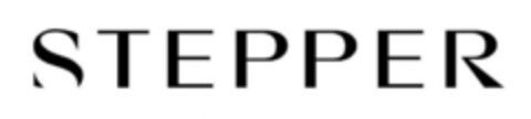 STEPPER Logo (IGE, 14.03.2023)