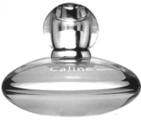 Caline Logo (IGE, 04.10.2004)