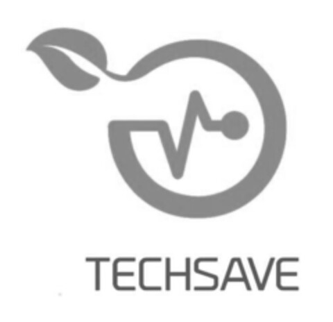 TECHSAVE Logo (IGE, 01/18/2021)