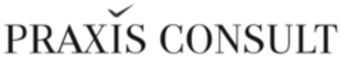 PRAXIS CONSULT Logo (IGE, 04.07.2008)