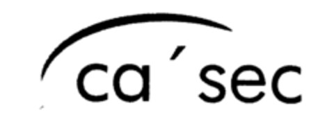 ca'sec Logo (IGE, 24.11.1995)