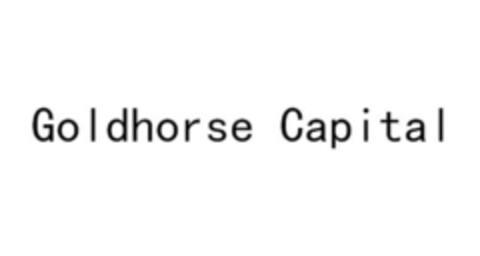 Goldhorse Capital Logo (IGE, 13.11.2020)