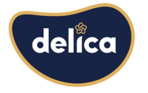 delica Logo (IGE, 15.12.2020)