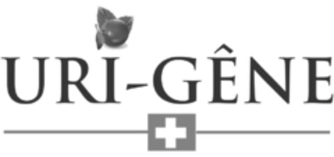 URI-GÊNE Logo (IGE, 11/10/2015)