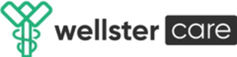 wellster care Logo (IGE, 04/05/2023)