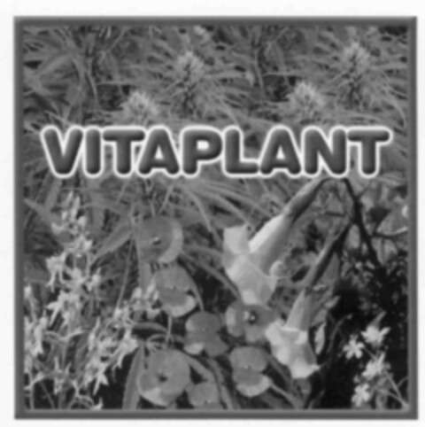 VITAPLANT Logo (IGE, 07/23/1999)