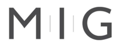 MIG Logo (IGE, 17.12.2009)