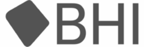 BHI Logo (IGE, 04.06.2007)