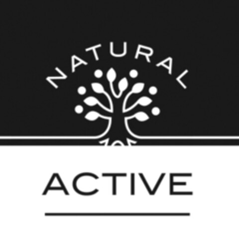 NATURAL ACTIVE Logo (IGE, 03.09.2010)