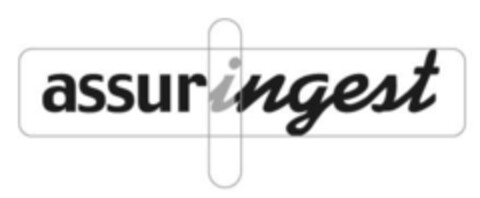 assuringest Logo (IGE, 16.11.2005)