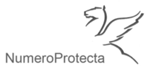 NumeroProtecta Logo (IGE, 28.09.2010)