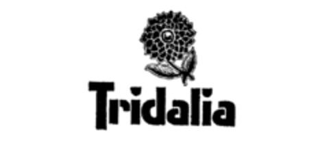 Tridalia Logo (IGE, 19.10.1987)