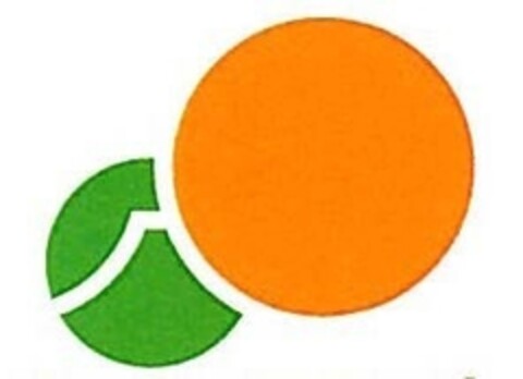  Logo (IGE, 29.06.2009)