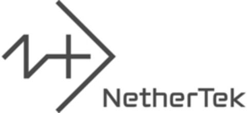 NetherTek Logo (IGE, 02.07.2013)