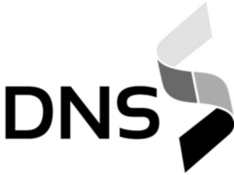 DNS Logo (IGE, 13.08.2010)
