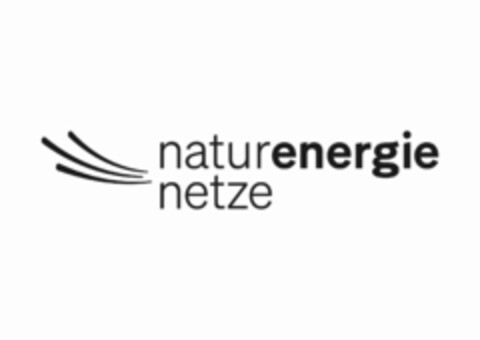 naturenergie netze Logo (IGE, 30.01.2024)