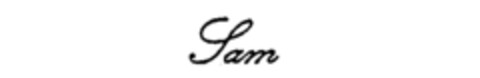 Sam Logo (IGE, 12.04.1990)