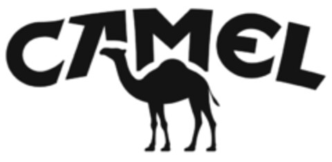 CAMEL Logo (IGE, 21.04.2015)