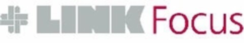 LINK Focus Logo (IGE, 19.01.2007)