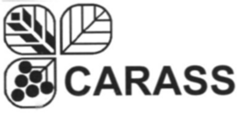 CARASS Logo (IGE, 29.07.2014)