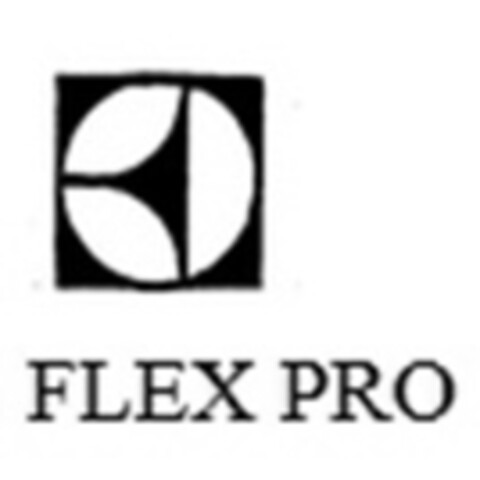 FLEX PRO Logo (IGE, 24.08.2015)