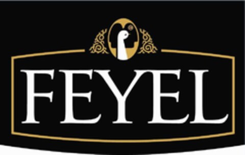 FEYEL Logo (IGE, 25.11.2016)