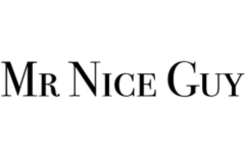 MR NICE GUY Logo (IGE, 03/08/2023)