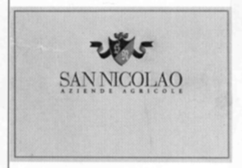 S N SAN NICOLAO AZIENDE AGRICOLE Logo (IGE, 05/15/2000)