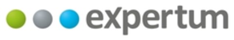 expertum Logo (IGE, 14.01.2013)
