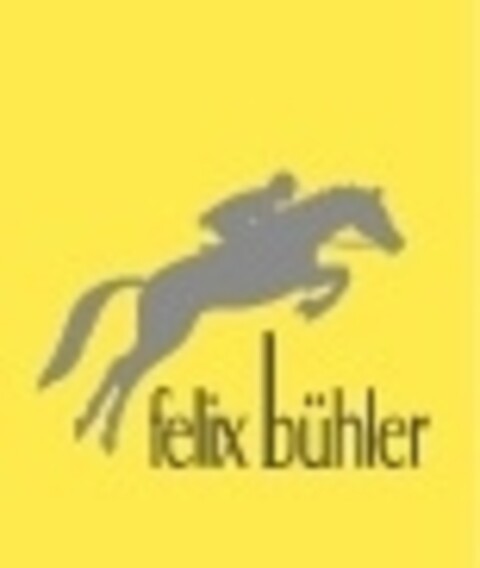 felix bühler Logo (IGE, 02.12.2021)