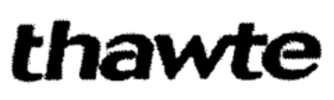 thawte Logo (IGE, 14.05.2004)