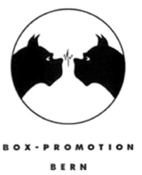 BOX-PROMOTION BERN Logo (IGE, 14.01.2003)