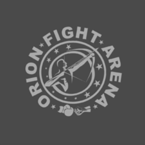 ORION FIGHT ARENA Logo (IGE, 28.08.2017)