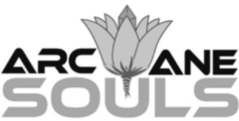 ARCANE SOULS Logo (IGE, 10/15/2013)