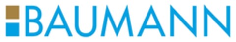 BAUMANN Logo (IGE, 25.04.2017)