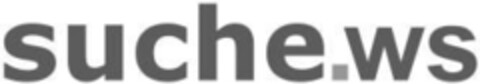 suche.ws Logo (IGE, 17.05.2007)