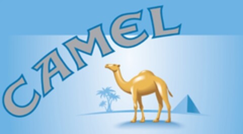 CAMEL Logo (IGE, 08/15/2016)