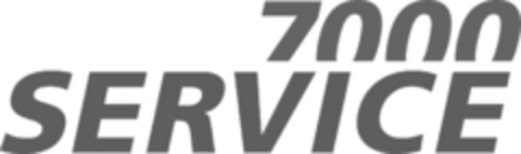 7000 SERVICE Logo (IGE, 01.10.2013)